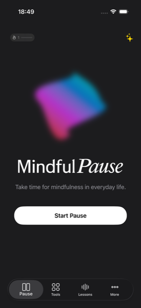 The Mindful Pause home screen with the current streak and a large Start Pause button.